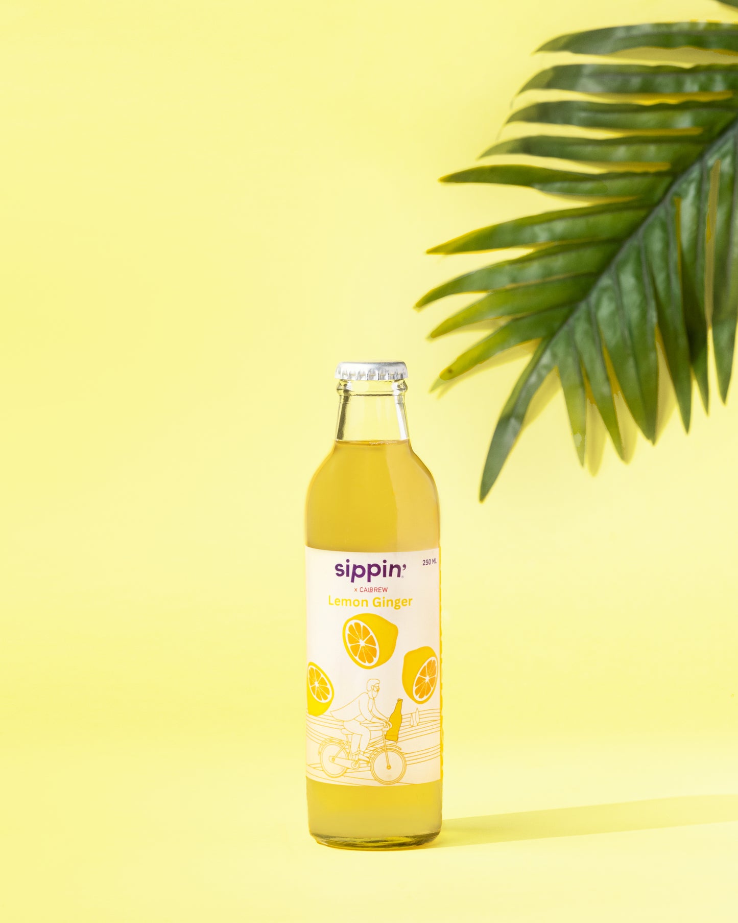 Lemon Ginger Kombucha